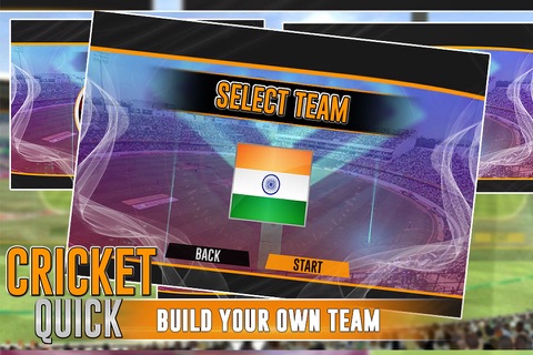 Quick Cricket 3D screenshot 4