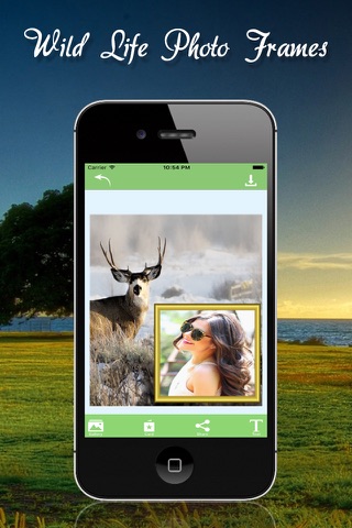 Wildlife Photo Frames Deluxe screenshot 4