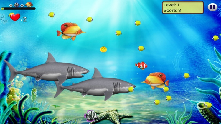 Feeding Frenzy Free