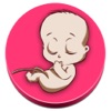 Календарь беременности - iPadアプリ