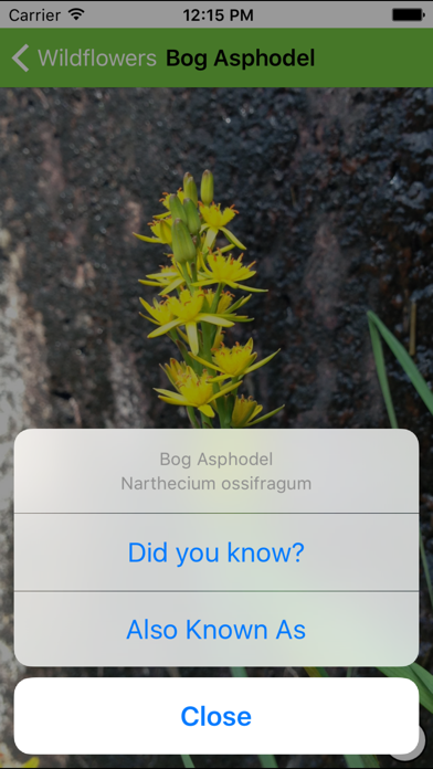 Mountain Flora & Fauna Screenshot