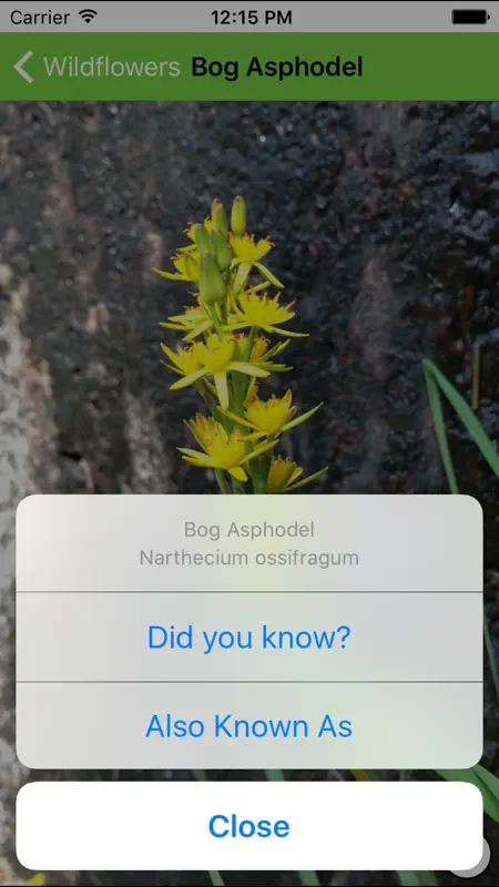 Mountain Flora & Fauna screenshot 5 of 5