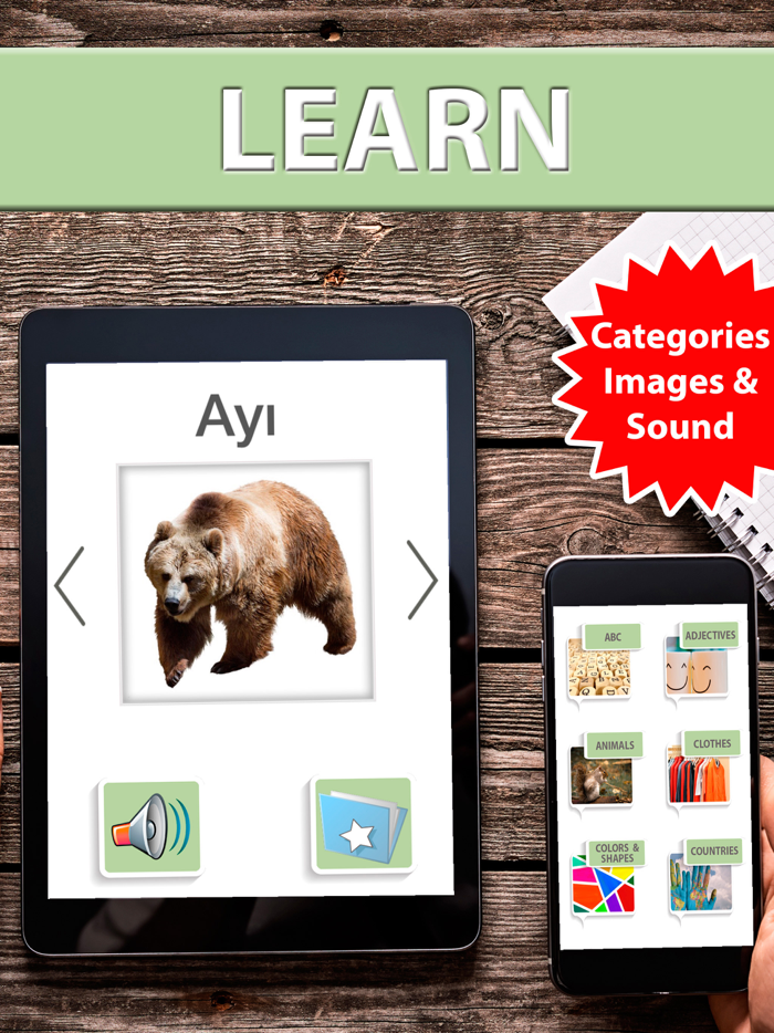 LEARN TURKISH Vocabulary - test and quiz games