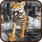 Life of Tiger in American Wild Forest