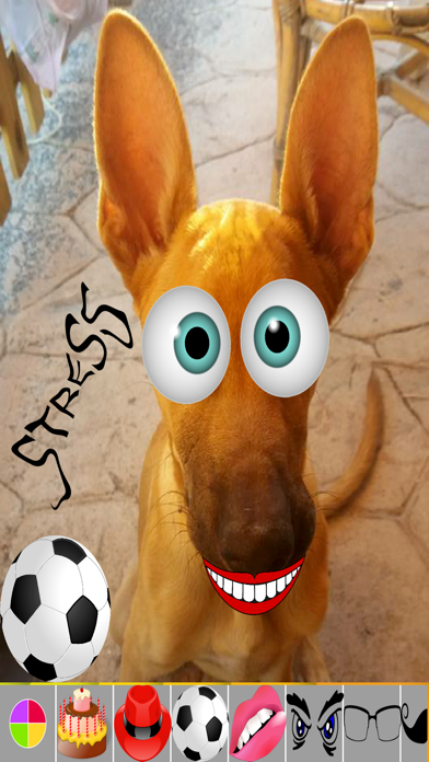 Screenshot #3 pour Fun Photo Editor - Stickers, Frames & Drawing