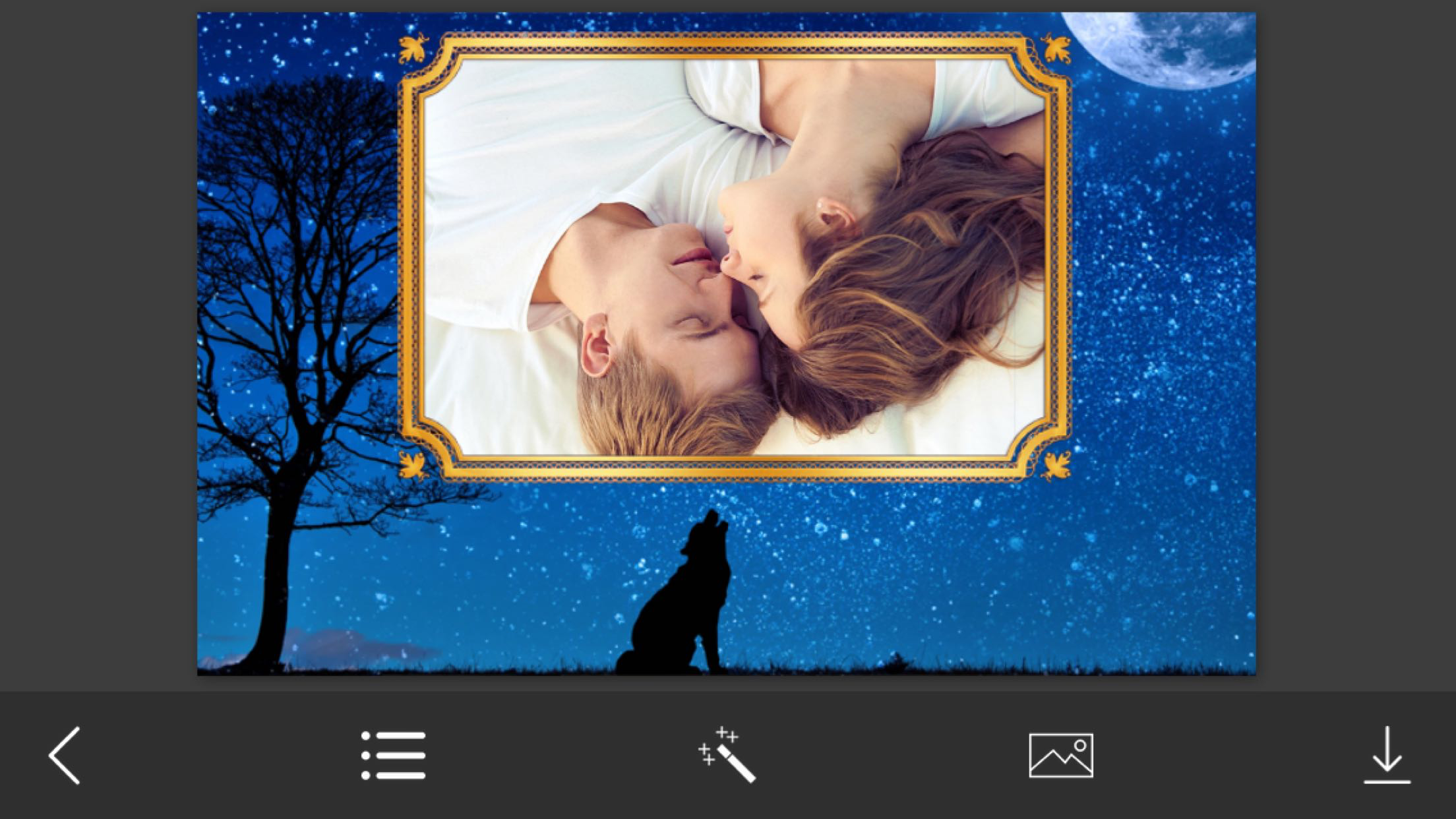 Wolf Photo Frame - Great and Fantastic Frames for your photo screenshot 2