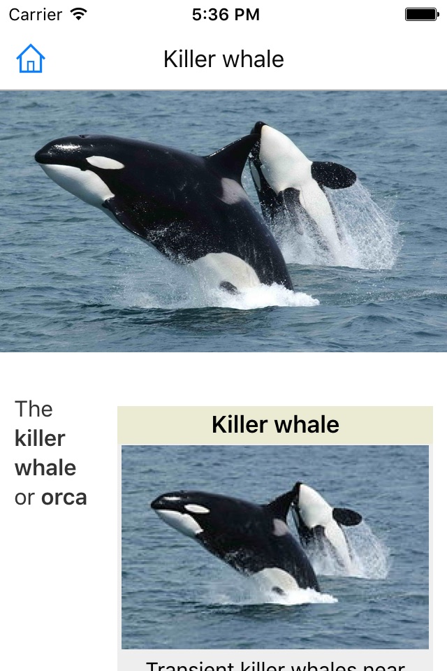 CHI Encyclopedia of Whales screenshot 4