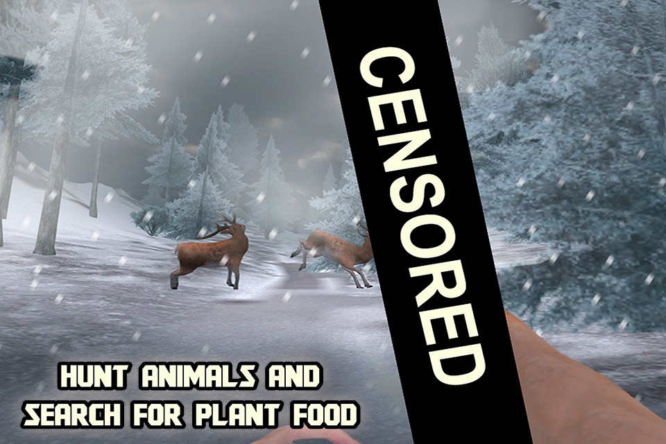Siberian Survival: Cold Winter 2 screenshot 2