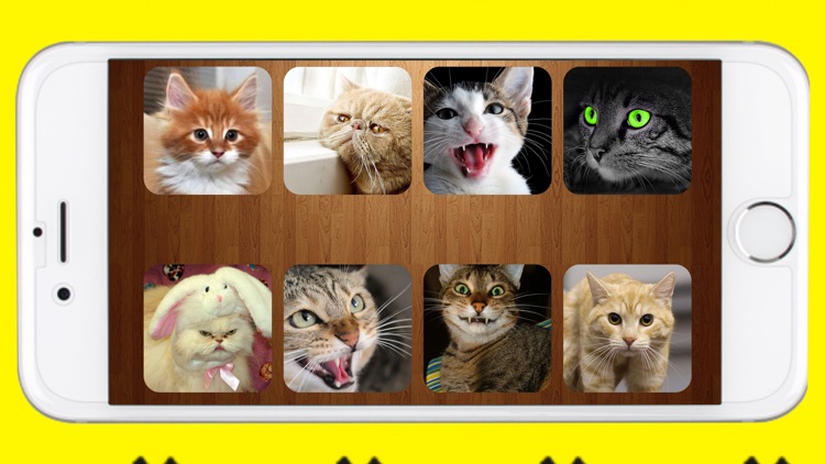 Cats Sounds Game