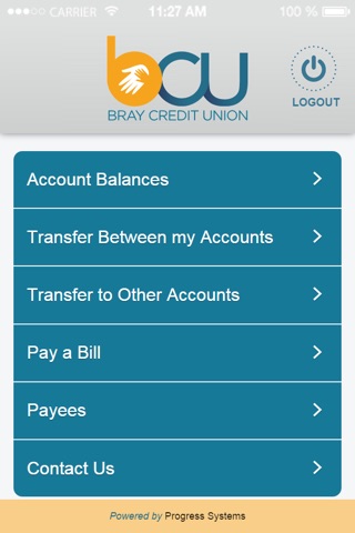 Bray Credit Union screenshot 2