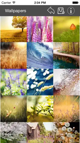 Game screenshot Wallpaper Collection Nature Edition apk