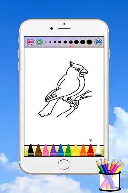 Game screenshot Bird Coloring Book For Kids hack