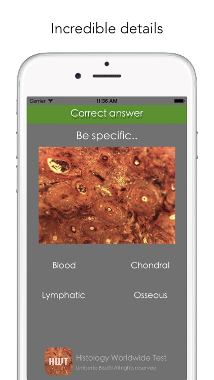 Histology Worldwide Test Lite for iPhone screenshot-3