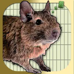 Donny Degu app icon