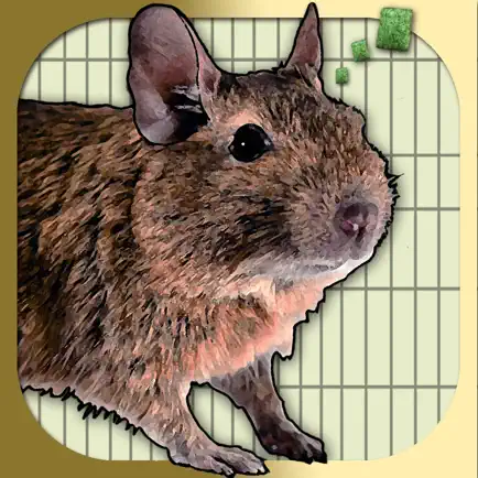 Donny Degu Cheats