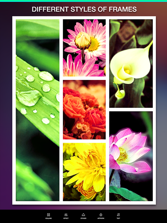 Screenshot #5 pour Layout Camera Collage - photo collage maker & photo editor