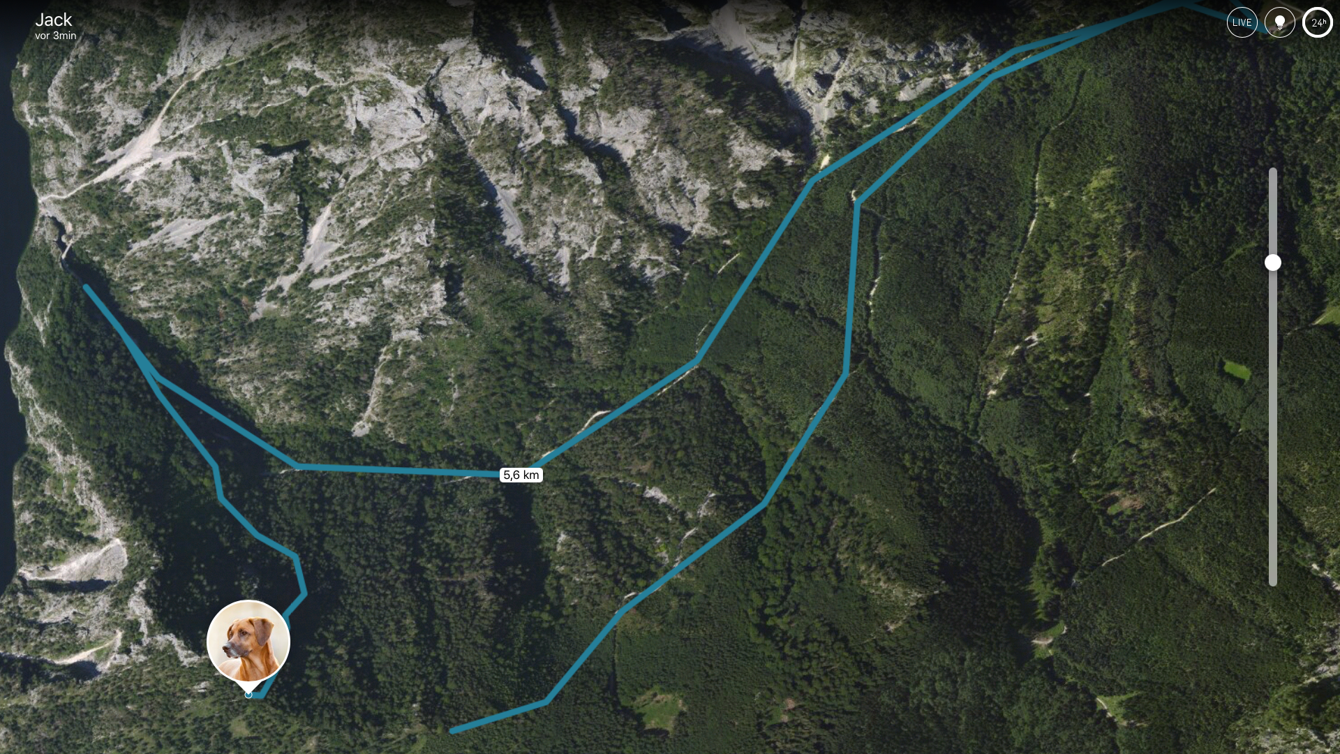Tractive GPS for Dogs and Cats