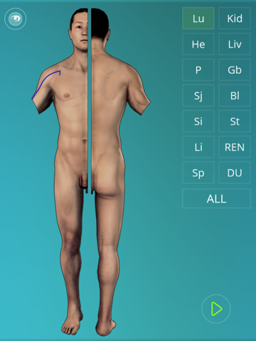 Screenshot #6 pour Acupuncture Quiz - Point Locations