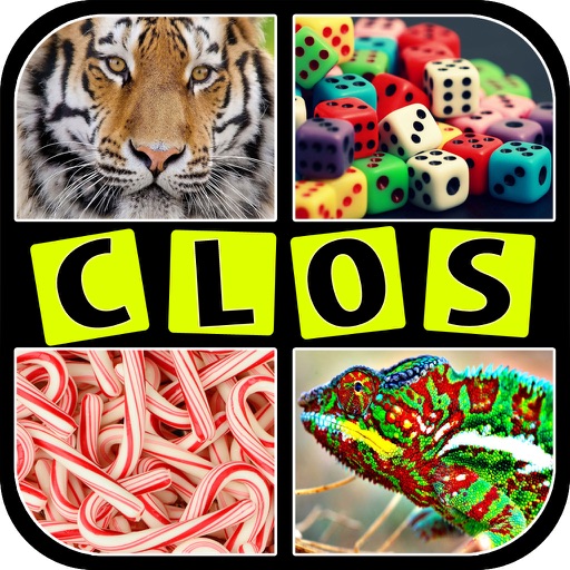 Close Up Pictures Free Game icon