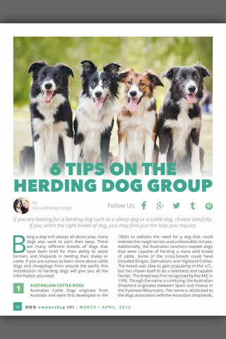 Dog Ownership 101 Magazine screenshot 4