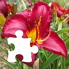 Flowers Puzzle Collection