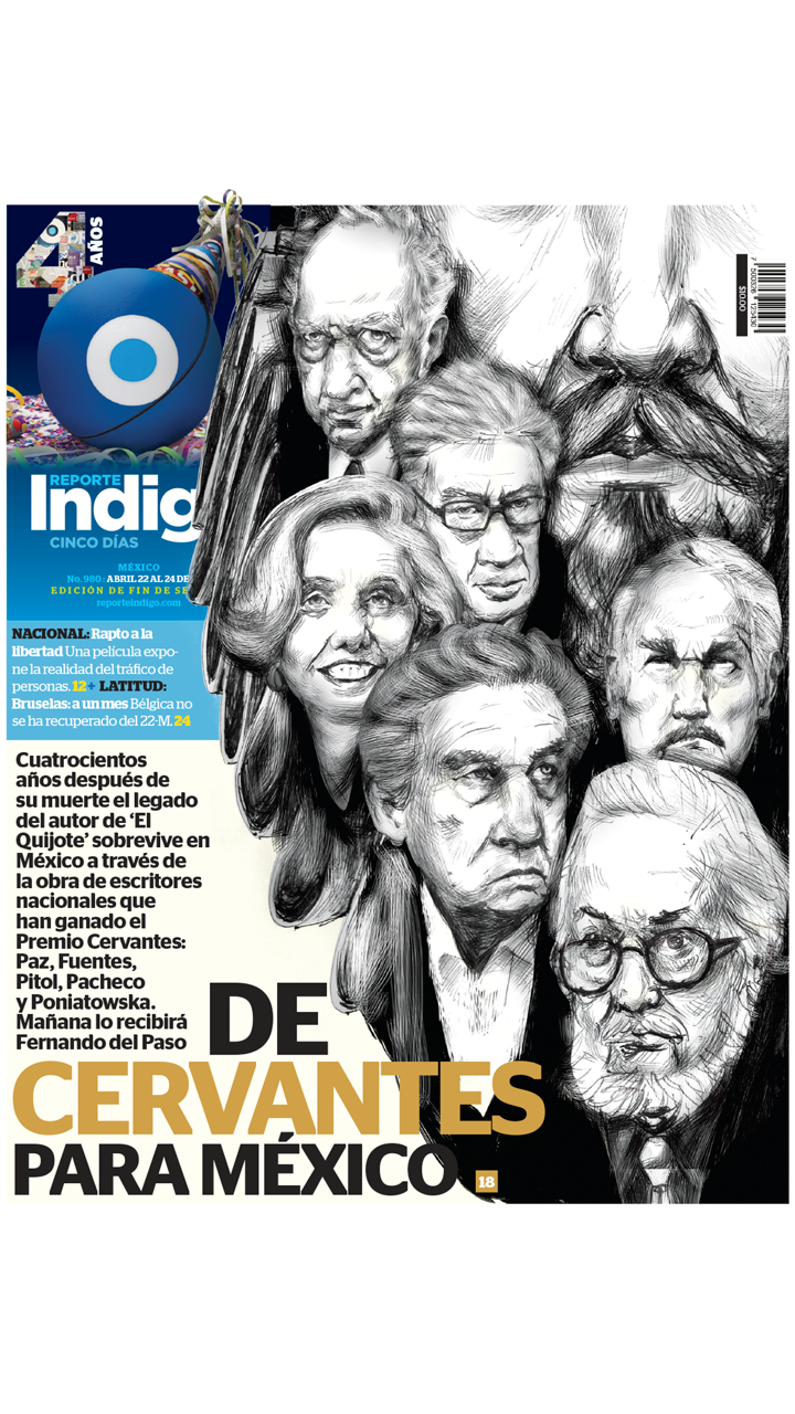 Reporte Indigo DF screenshot 4
