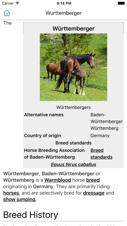 CHI Encyclopedia of Horses