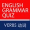 English Chinese Grammar Quiz Verbs iPhone