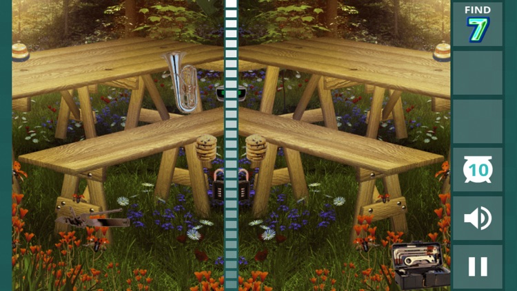 Hidden Difference - Summer Garden