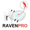 Raven Hunting Strategy - Hunting Simulator for Bird Hunting