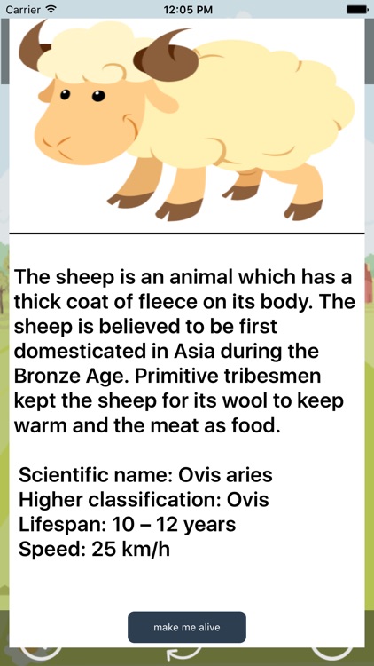 Fun with Sheep - Angry Sheep in country side Farm screenshot-4