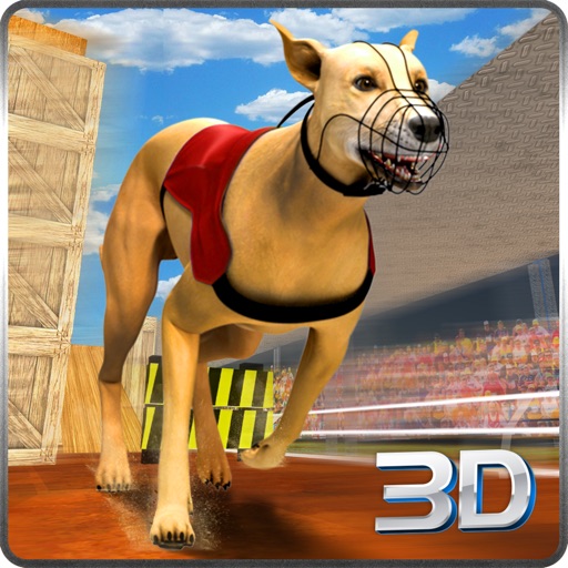 Crazy Dog Surfer - Endless Run iOS App