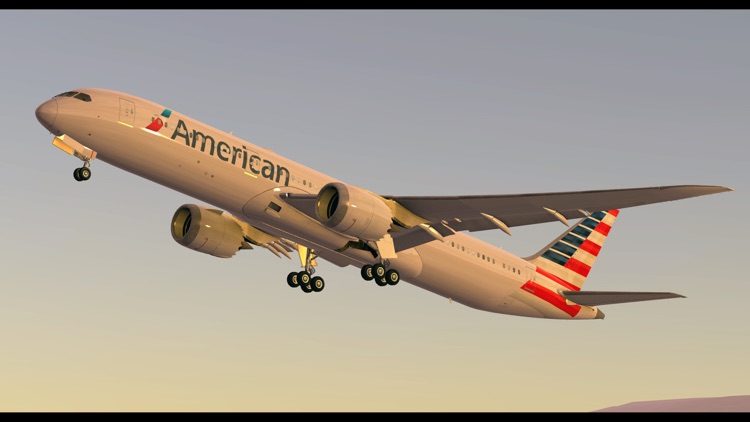 Infinite Flight - Flight Simulator