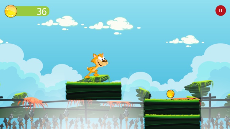 Ninja Cat Running Adventure