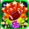 American Football Slots:Free Game Casino 777 HD