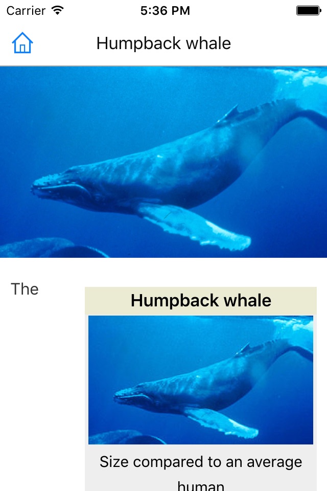 CHI Encyclopedia of Whales screenshot 3