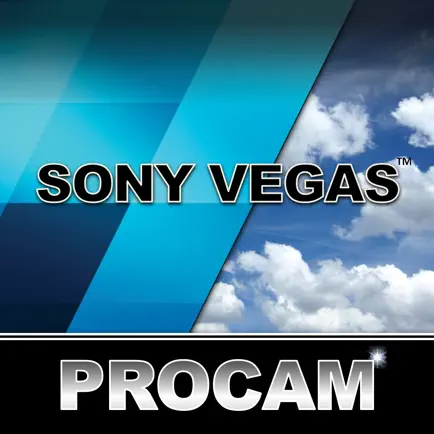 PROCAM for Sony Vegas Читы