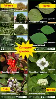 tree id canada - identify over 1000 native canadian species of trees, shrubs and bushes iphone screenshot 4