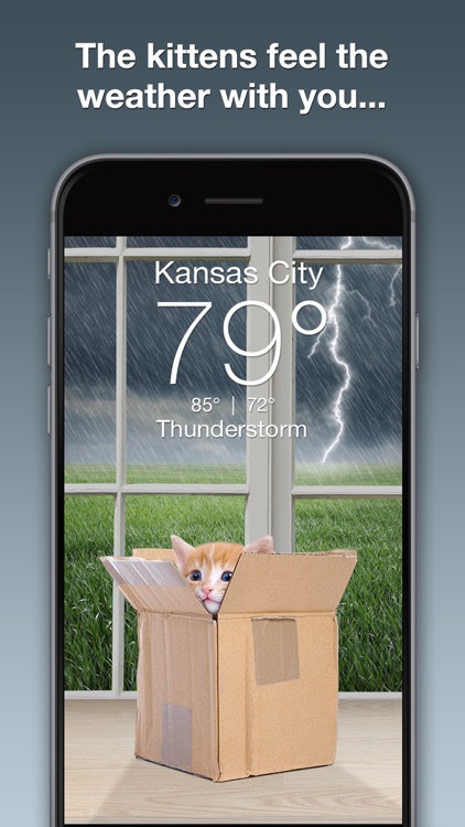 Weather Kitty
