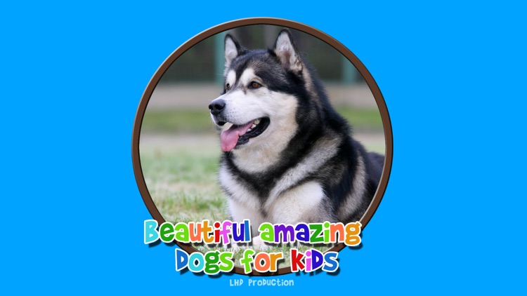 beautiful amazing dogs for kids - no ads