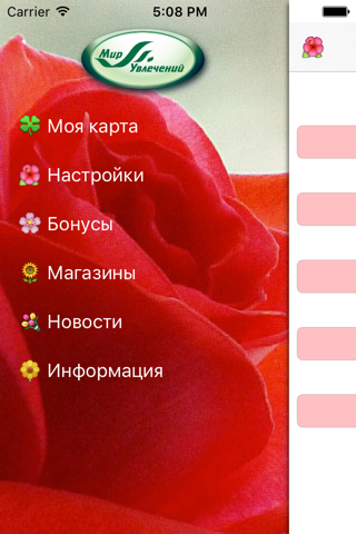 Мир увлечений screenshot 3