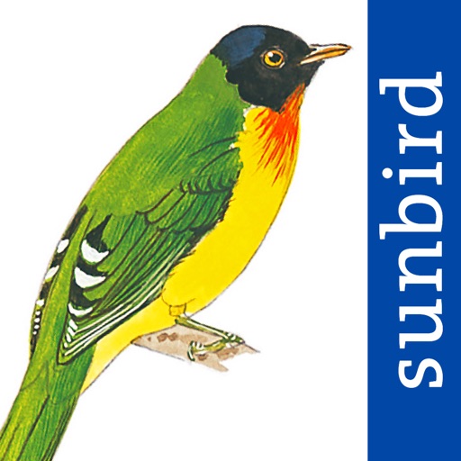 All Birds Venezuela - a complete field guide to identify all the bird species recorded in Venezuela