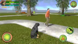 rottweiler dog life simulator iphone screenshot 2
