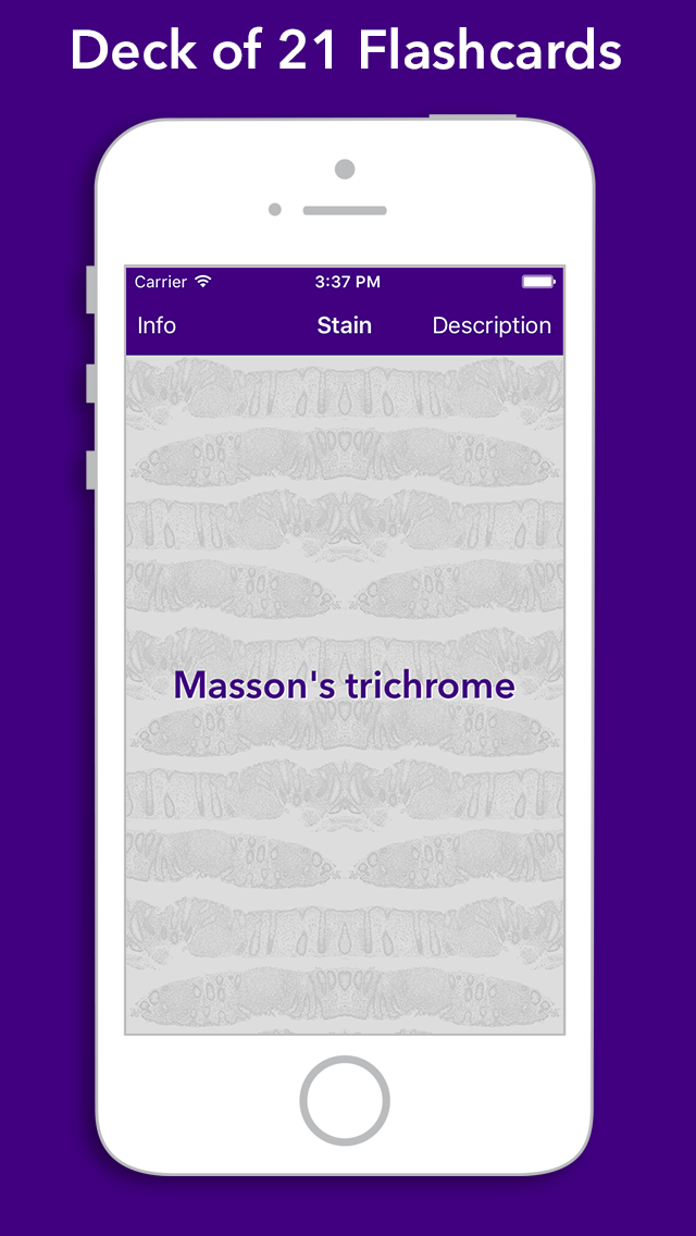 FlashKarte Histology Stains