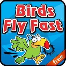 Activities of Birds Fly Fast - Free Game for Kids