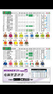 Punters' Way (Chinese) 马友指南 screenshot 3