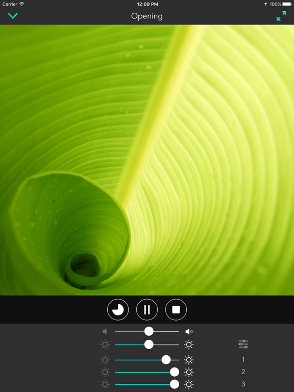 mycoocoon Color Institute - Color Therapy iPad screenshot 3 - Health & Fitness app