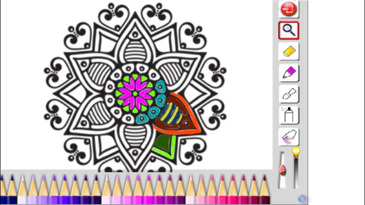 Adult Coloring book - Mandala, Flowers, Animals and Beautiful Patterns