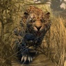 Animal Hunting : African Jungle icon
