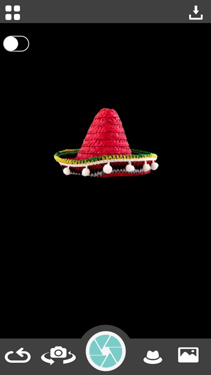 Hats Photo Montage screenshot-3